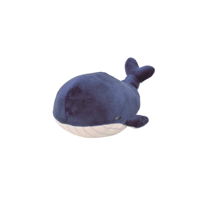 Kanaroa Baleine S 13cm