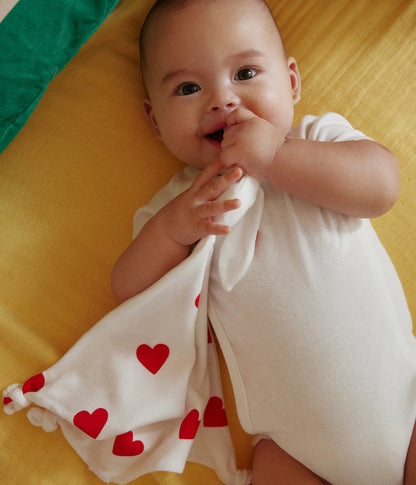 Lot de 2 bodies croisés manches courtes en coton unis bébé