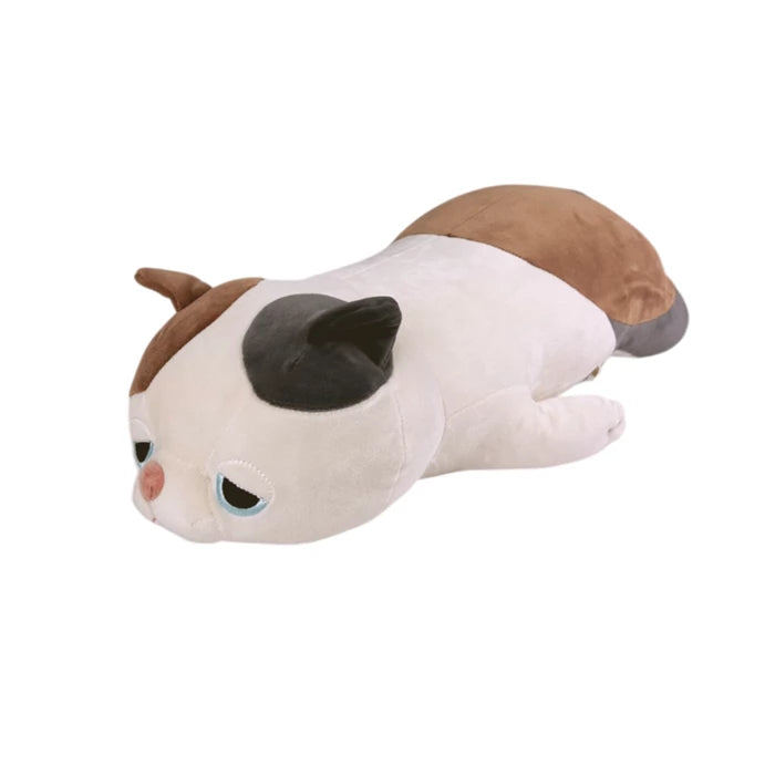 Yuzu Chat L 50cm