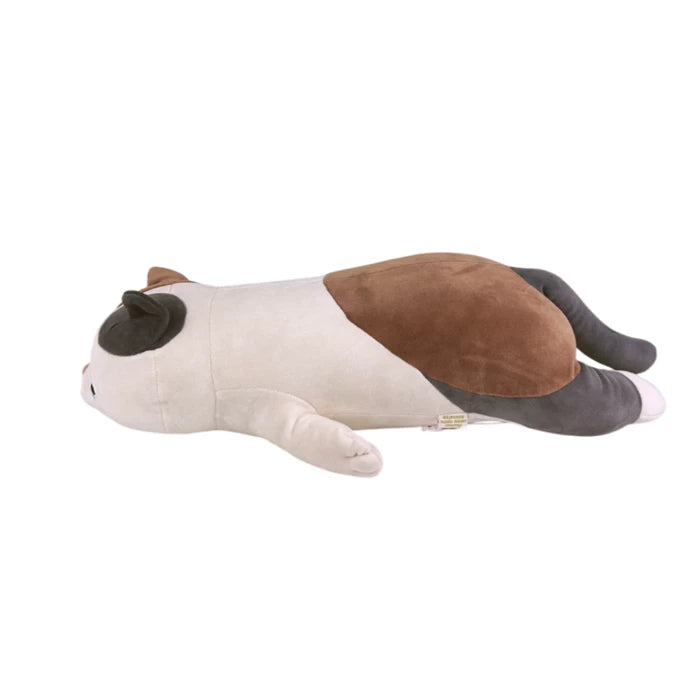 Yuzu Chat L 50cm