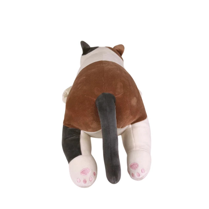 Yuzu Chat L 50cm