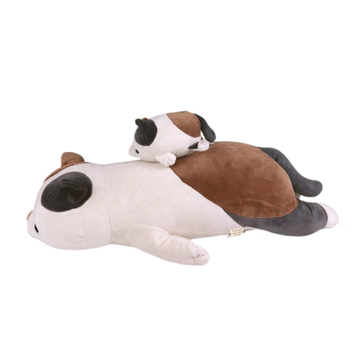 Yuzu Chat L 50cm