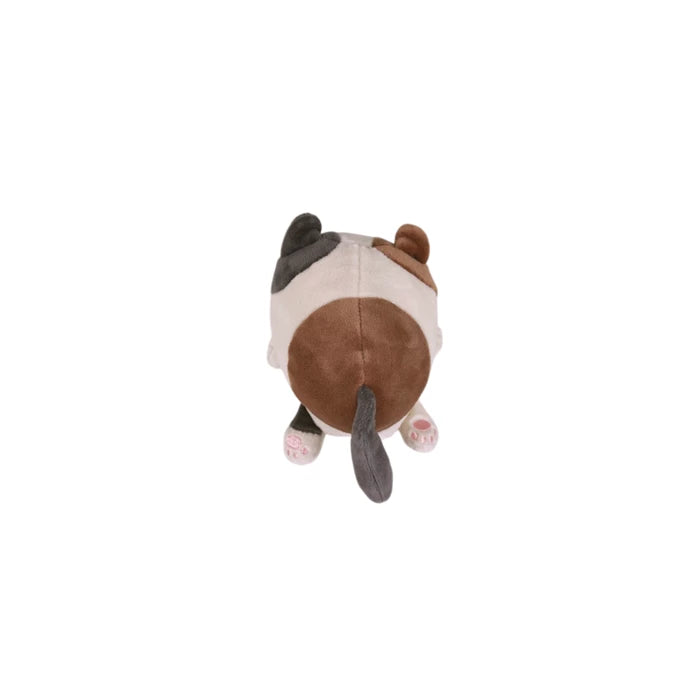 Yuzu Chat S 11cm