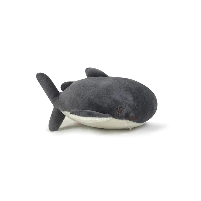 Zap Requin S 16cm