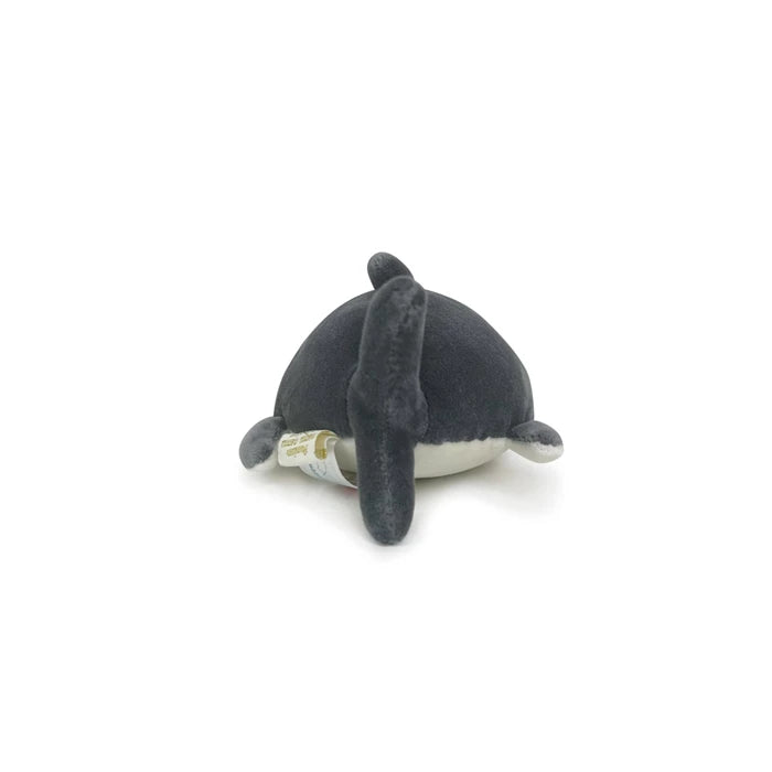 Zap Requin S 16cm