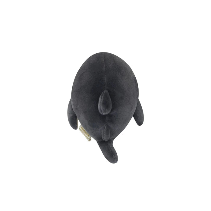 Zap Requin S 16cm