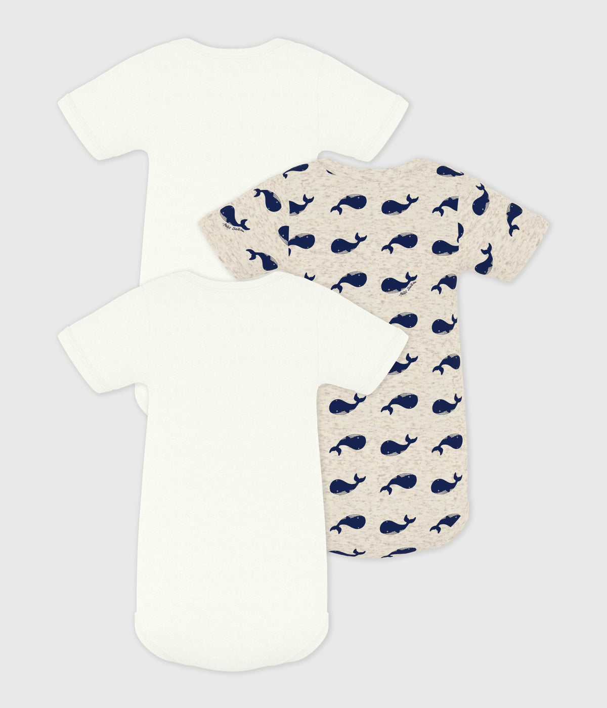 Pack of 3 short-sleeved whale cotton bodysuits