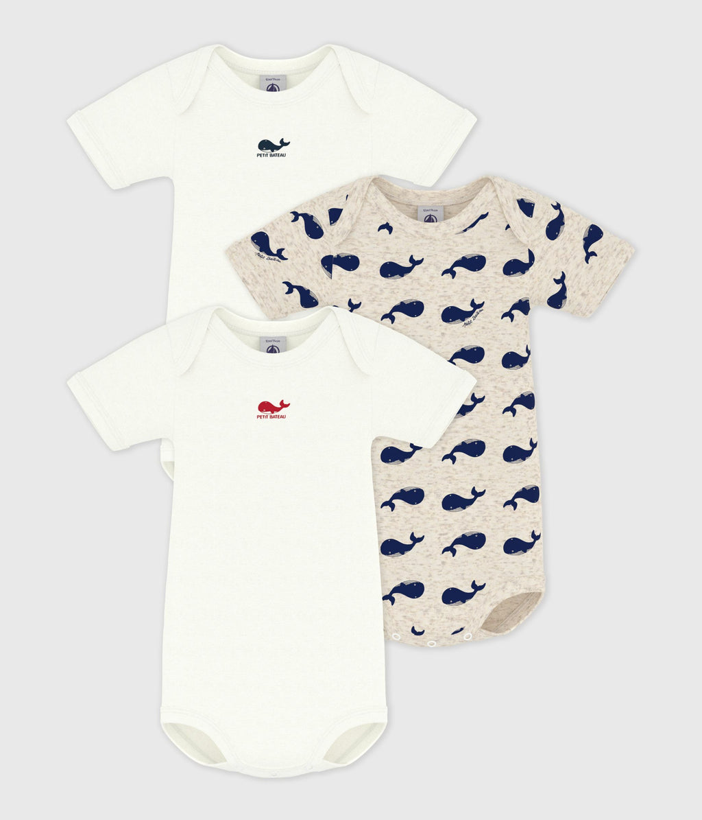 Pack of 3 short-sleeved whale cotton bodysuits