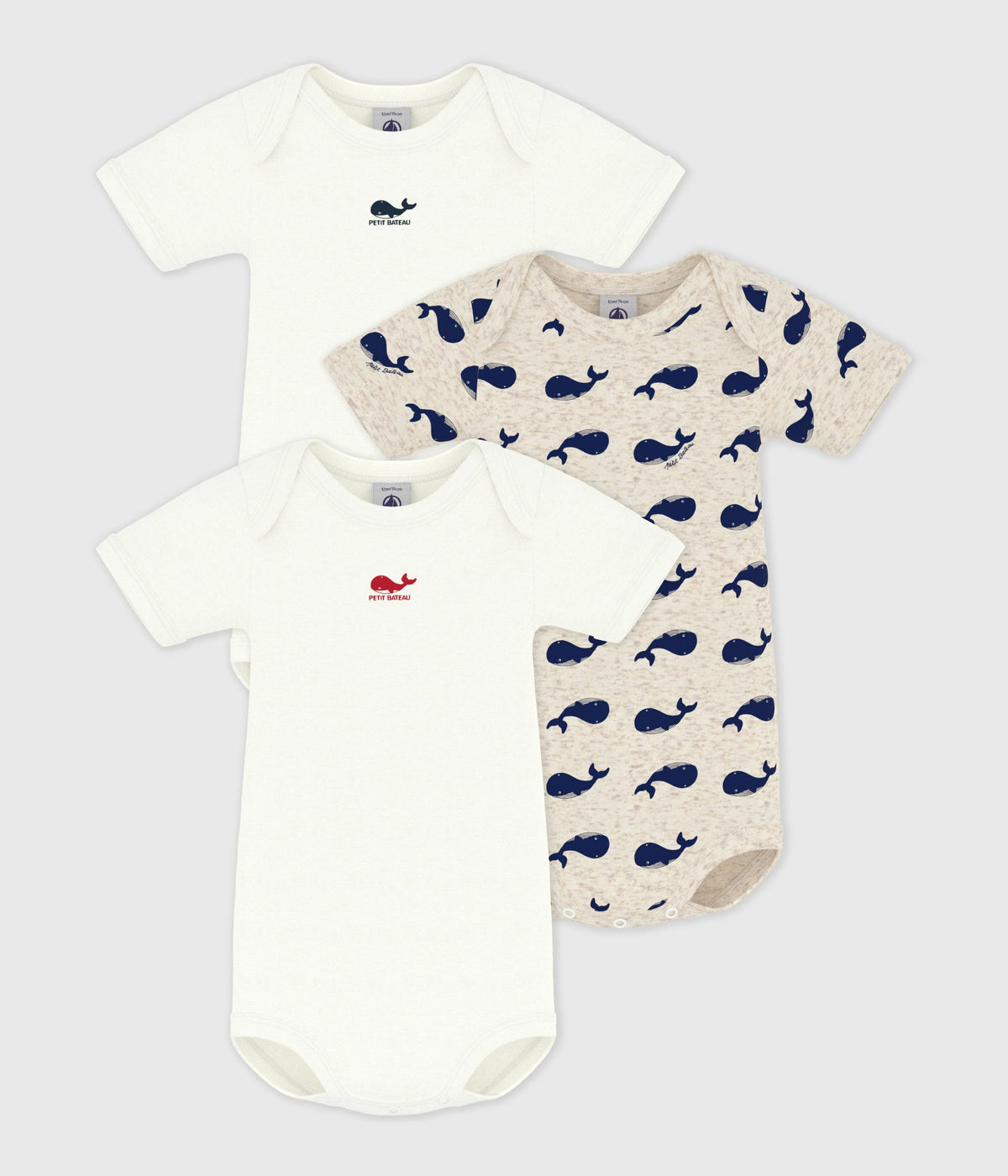 Pack of 3 short-sleeved whale cotton bodysuits